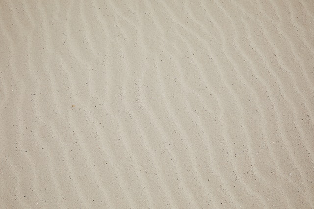 Rare rhinoceroses of the genus Stephanorhinus, palaeoenvironmental evolution and Quaternary palaeolakes study